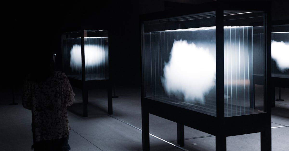 A Guide to Sustainable Timber Flooring Options