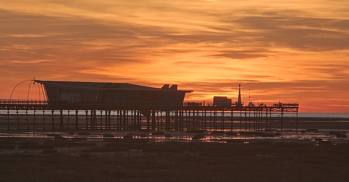 Preparing a Plywood Subfloor for Laminate Installation