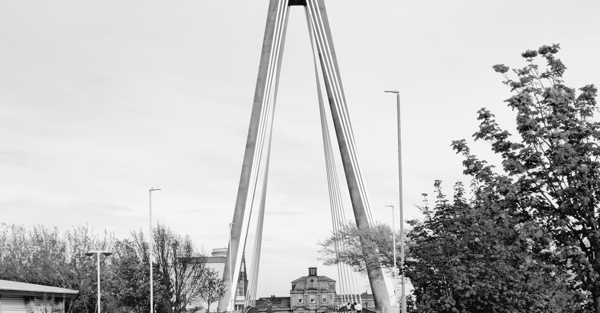 Vinyl Flooring vs. Other Flooring Types: Which Is Right for You?